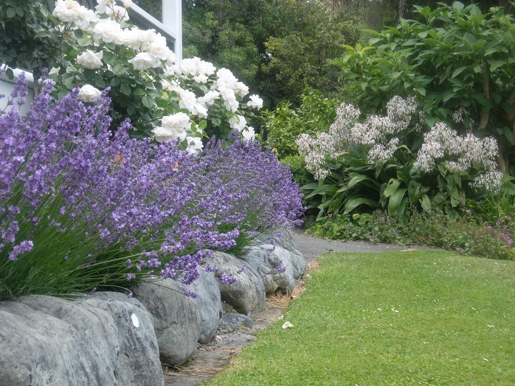 The Point B&B Kaikoura Eksteriør billede