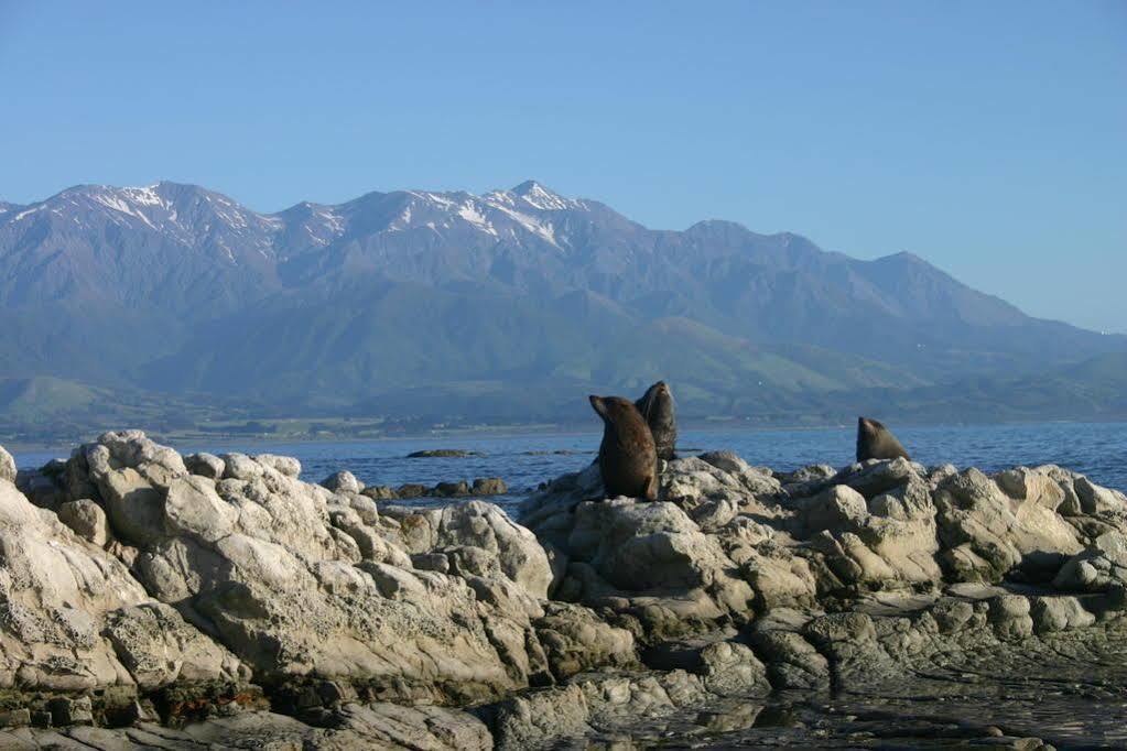 The Point B&B Kaikoura Eksteriør billede